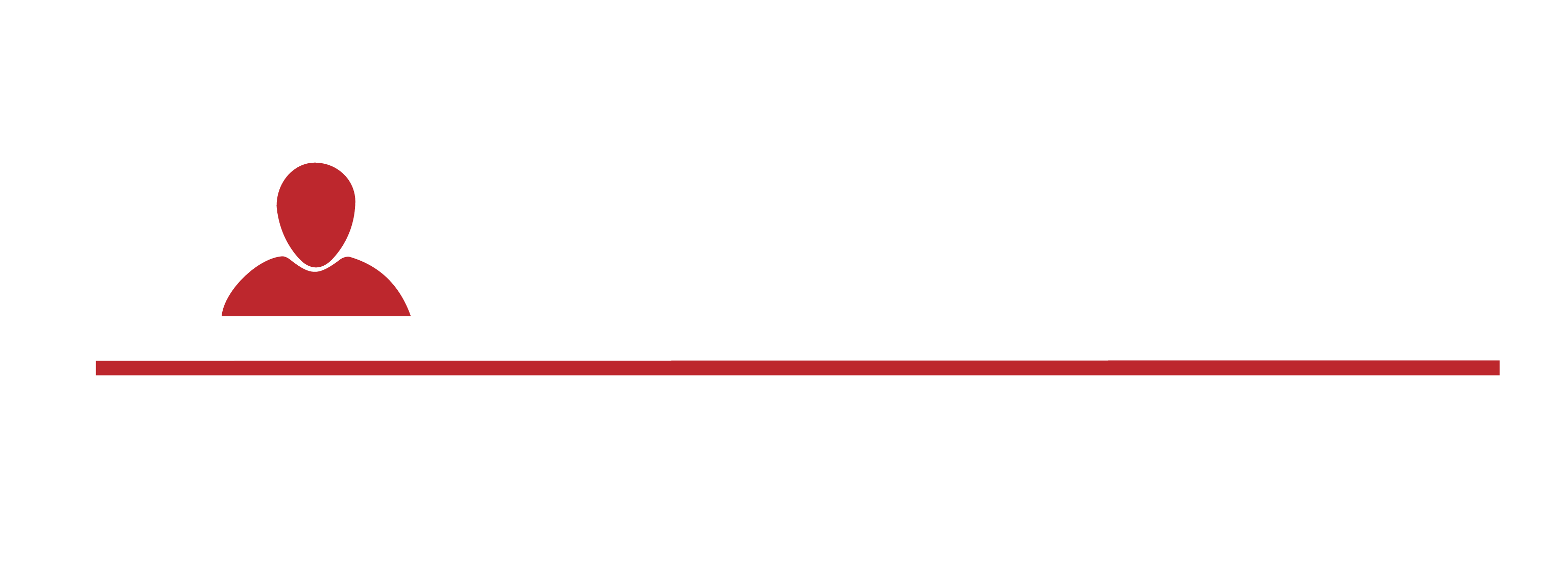 dulann logo